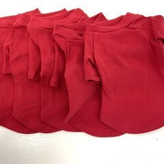 ワンちゃん　犬用　Tシャツ　赤　XXSサイズ　5枚セット　No.276の画像