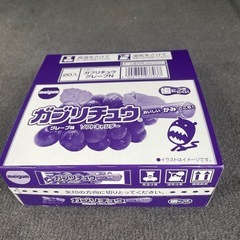 ガブリチュウ　グレープ　20入りの画像