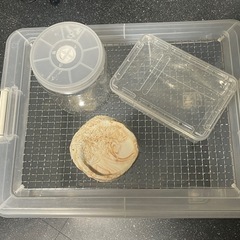 生き物飼育用品の画像