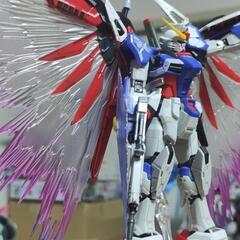 ガンプラ RG デスティニーガンダムの画像