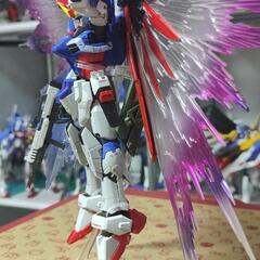 ガンプラ RG デスティニーガンダムの画像