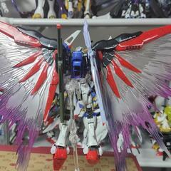 ガンプラ RG デスティニーガンダムの画像