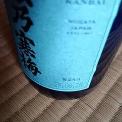 越乃寒梅 氵麗 純米吟醸酒　の画像