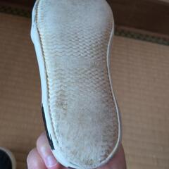 キッズ18センチの画像