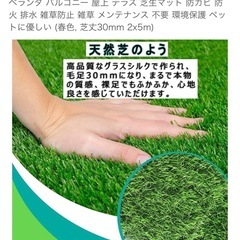 人工芝　1×5mの画像