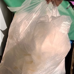 緩衝材プチプチ、差し上げますの画像