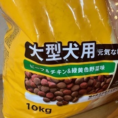 大型犬　ペティグリー　フードの画像