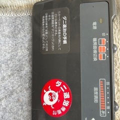 電気カーペットの画像