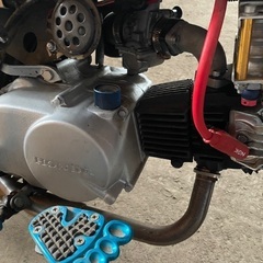ホンダ　ゴリラ　実働　カスタム車　6v  85ccの画像