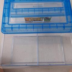 未使用　水槽　虫かご　メダカ　カブトムシ　生き物　ケースの画像
