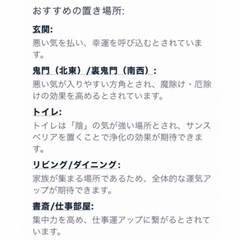美株　このまま飾れる　サンスベリアの人気種　ゴールデンハニー　ハイドロカルチャーの画像