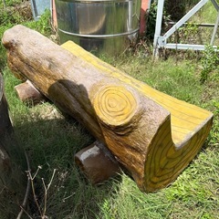 木目のファイバー椅子の画像