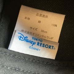 TDL購入の帽子とカチューシャの画像