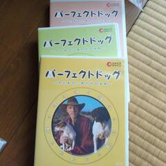 パーフェクトドッグの画像