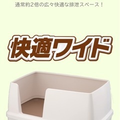 猫 トイレ システムトイレ 2つ
の画像