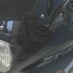 KAWASAKI ZX-10 黒/銀 エンジン始動確認 車検取得で乗れます 半額配送キャンペーン 期間限定 現状渡し諸経費￥0- 横浜 P-Yard の画像