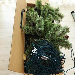 クリスマスツリーの画像