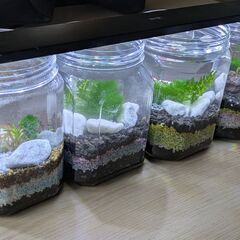 小さな水槽を作ろう！