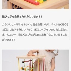 エドインター　森のあそび箱　おもちゃ10点セット　ED.inter 0歳　1歳　知育玩具の画像