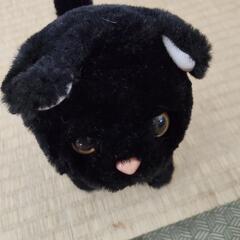 黒猫人形の画像