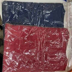 レア　非買品　リポビタンD　ラグビー日本代表応援キャンペーン限定　ペアTシャツの画像