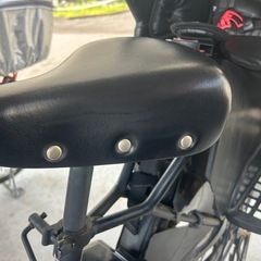 パナソニック電動自転車ギュットアニーズDX 26 の画像