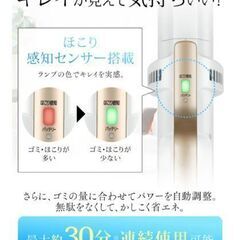 掃除機 コードレス  自走式 極細軽量 IC-SLDCP6 ゴールドの画像