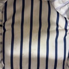 無料！らくちんワンチャン用カートの画像