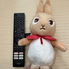 ピーターラビットぬいぐるみ
の画像