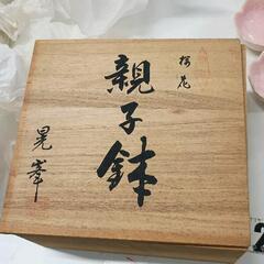 0826-061 親子鉢 桜花親子鉢 晃峯の画像