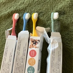 小型犬用　歯ブラシ&ウェアの画像