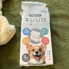 小型犬用　歯ブラシ&ウェアの画像