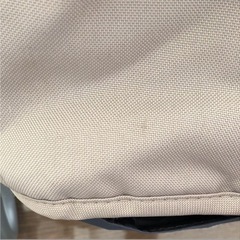 イングリッシーナの画像