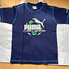 PUMA上セット(140サイズ)♪Ｔシャツ未使用🤭タグ付きの画像