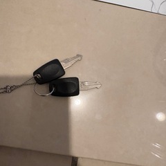お譲り先決定しましたの画像