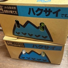 長野県産白菜の画像