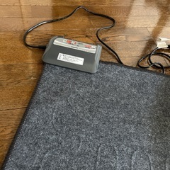 無料ホットカーペットの画像