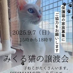 💐🥀🐈‍⬛譲渡会開催🐈🥀💐