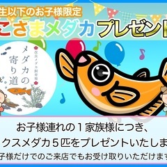 【メダカの寄り道】おこさまメダカプレゼント企画！2025の画像