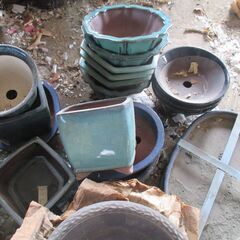 早い者勝ち!!　0円　無料で差し上げます。　全て未使用品　盆栽鉢　植木鉢　陶器　園芸　趣味　鑑賞　ガーデニングの画像