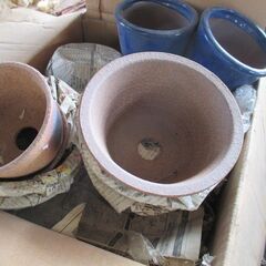 早い者勝ち!!　0円　無料で差し上げます。　全て未使用品　盆栽鉢　植木鉢　陶器　園芸　趣味　鑑賞　ガーデニングの画像