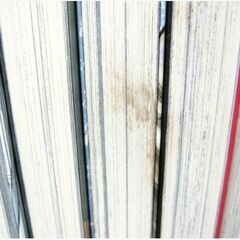 漫画『　WORST外伝　ゼットン先生　1～15巻　』全巻＆DVD『　クローズZEROⅠ・Ⅱ　』2枚セット　秋田書店2020年～　東宝2009年度作品の画像