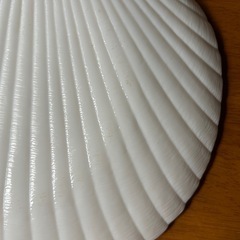 大皿2枚とガラス皿1枚の画像