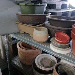 0809【0円】大量入荷 植木鉢 プランター 盆栽 の画像