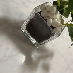 造花 フェイクグリーンの画像