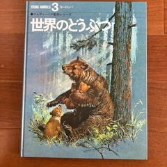 本の画像