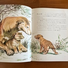 本の画像