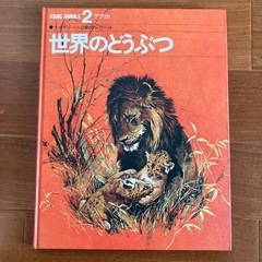 本の画像