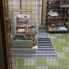 ワイヤーネット90cm×180cm4枚の画像