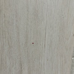 机(ホワイト)の画像